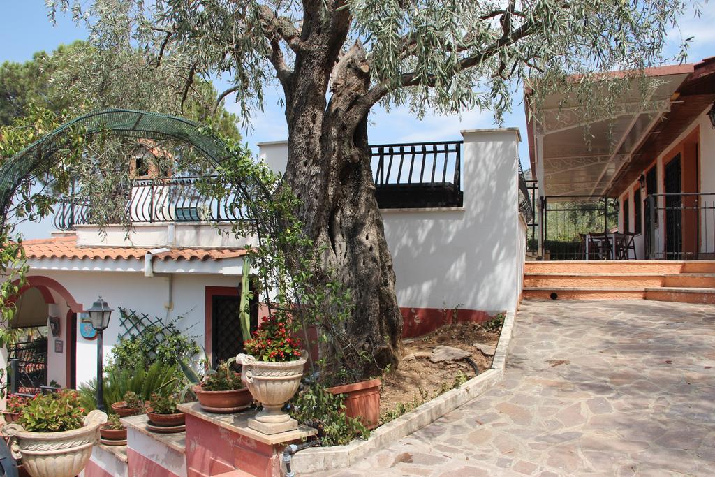 Millenovecento Daire Tivoli Dış mekan fotoğraf